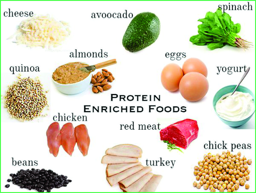 Protein in diet