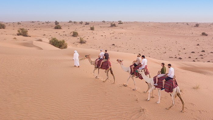 Bedouin Life, Falconry, and Wildlife Drive by Platinum Heritage