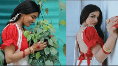 Wamiqa Gabbi is wearing in the new music video – Kajla